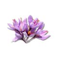 Saffron