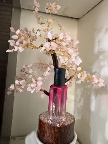 Slay Perfume for Women photo review